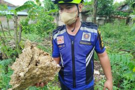 Damkar Ponorogo tangani 539 penyelamatan non-kebakaran sepanjang 2025