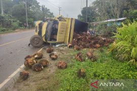Polres Bangka Barat imbau truk angkut sawit pasang jaring pengaman