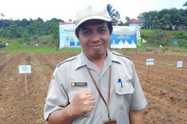 BRMP Maluku siapkan 586 penyuluh pertanian dampingi petani perkuat swasembada pangan