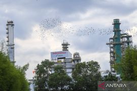 Pakar apresiasi kontribusi Pertamina capai target lifting minyak 2025