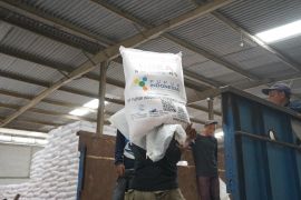 Alokasi pupuk subsidi 2026 petani Madiun capai 48.094 ton
