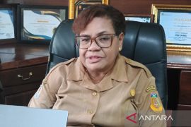 Dinas Tanaman Pangan dan Holtikultura targetkan cetak sawah 7.187 hektare di Papua