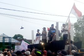 KLHK akan evaluasi menyeluruh penangan konflik gajah liar Way Kambas dengan masyarakat