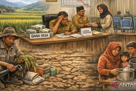 Peneliti: Dana Desa belum optimal mendongkrak ketahanan pangan Gorontalo