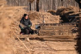 Potret aktivitas petani saat perangi desertifikasi di wilayah Xinjiang