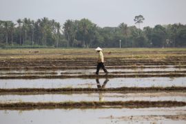 Realisasi penyaluran KUR di Lampung capai Rp9,93 triliun