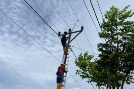 PLN mengalirkan tenaga listrik untuk tiga desa di pelosok NTT