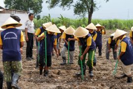 Penanaman jagung Lapas Kelas I Surabaya untuk ketahanan pangan