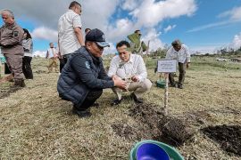 Wamen LH ingatkan peran pemulihan lingkungan untuk kehidupan manusia