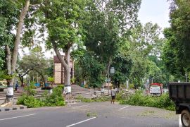 Angin kencang tumbangkan pohon asam di Abian Tubuh Mataram