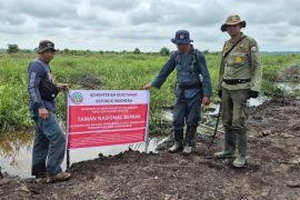 Kemenhut lanjutkan proses hukum aktor perambah TN Berbak Sembilang