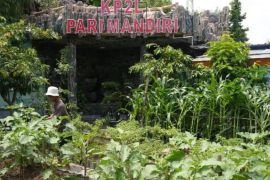 Pemkot Madiun kembangkan program P2L dan P2B demi ketahanan pangan