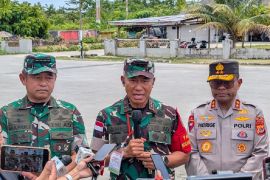 Wapres batal lakukan Kunker ke Yahukimo karena faktor keamanan