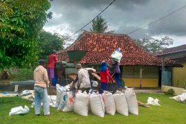 Produksi jagung Lampung naik 272 ribu ton di 2025