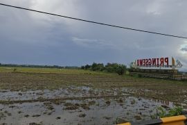Alokasi pupuk subsidi jenis NPK di Lampung capai 387.830 ton pada 2026