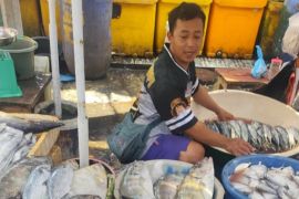 Tangkapan ikan di Lebak pada 2025 capai 6.879 ton