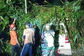 BPBD Gianyar Bali buka akses jalan tertutup tanah longsor