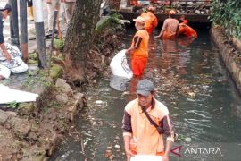 Cegah banjir, 50 personel bersihkan saluran PHB Kalijodo Ciracas