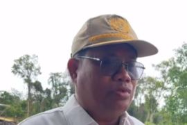 Pemkab Bangka Tengah minta PT Timah lakukan reklamasi