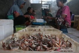 Indonesian blue crabs clear US standards until 2029, Ministry