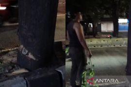 Oknum ASN diduga terlibat penebangan pohon ilegal di Kebayoran Lama