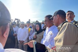 Negara hadir rehabilitasi 98 ribu ha sawah terdampak bencana Sumatera