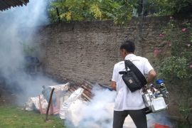 Dinkes Lampung Selatan lakukan upaya untuk memutus penyebaran DBD