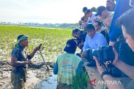 Mentan: Negara gaji petani pulihkan sawah terdampak bencana Sumatera