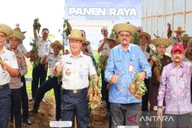 Ditjenpas Kalsel panen 4,6 ton komoditas pangan