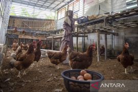 Pembangunan lumbung pangan desa