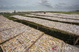 Produksi ikan kering terkendala cuaca