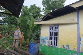 BPBD Flotim mendata kerusakan rumah-bangunan akibat angin kencang
