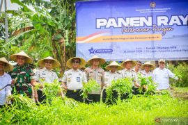 Lapas Lombok Barat panen 3,8 ton padi dan 300 kg sayur kangkung
