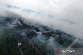 Belum selesai penanganan bencana banjir, Aceh Barat kini hadapi kebakaran lahan