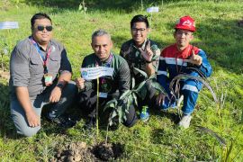 Pertamina Patra Niaga Regional Kalimantan Gelar Penanaman Pohon di Tarakan