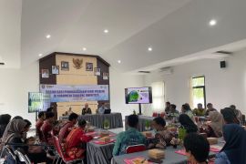 Kalsel kemarin dari rehabilitasi kawasan mangrove hingga proklim