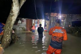 BNPB sebut banjir dan longsor mendominasi bencana sepekan terakhir