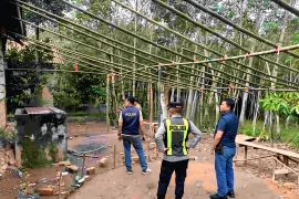 Polisi bongkar arena judi sabung ayam di Desa Banuayu OKU