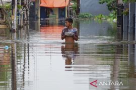 Banjir rendam Pekalongan, 8.692 KK terdampak