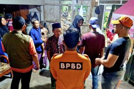 BPBD Bondowoso ingatkan pengguna jalan waspada pohon tumbang