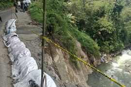 Bupati: Jalan provinsi menuju Talamau Pasaman Barat rawan longsor