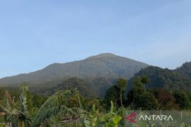 Wisata di TNGC harus kedepankan konservasi