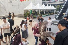 Independent Exotic Pets hadirkan satwa unik di Pelataran D'Clony Mal Gaia