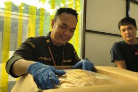 Sulsel ekspor dua ton telur ikan terbang ke Xiamen Tiongkok