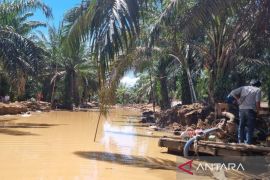 Berbulan terendam lumpur, jalan masuk Desa Bandar Tarutung Tapsel tak kunjung pulih