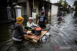 Banjir di Kudus rendam 5.596   rumah ,  warga terdampak dievakuasi
