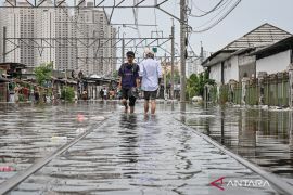 Banjir Jakarta, hingga pukul 11.00 WIB 39 RT dan 28 jalan terendam