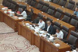 Vale ajukan revisi RKAB demi penuhi pasokan tiga proyek HPAL