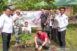 KPU Dompu canangkan penanaman pohon sebagai simbol perawatan demokrasi berkelanjutan