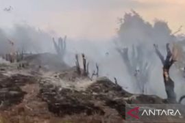 Pemprov Maluku maksimalkan peran masyarakat peduli api sekitar kawasan hutan cegah karhutla